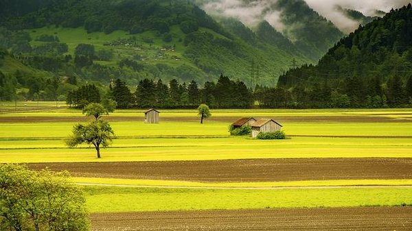 Comment déterminer la valeur d'un terrain à vendre ?